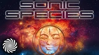 Sonic Species - Zero (Outsiders Remix) | Tip World