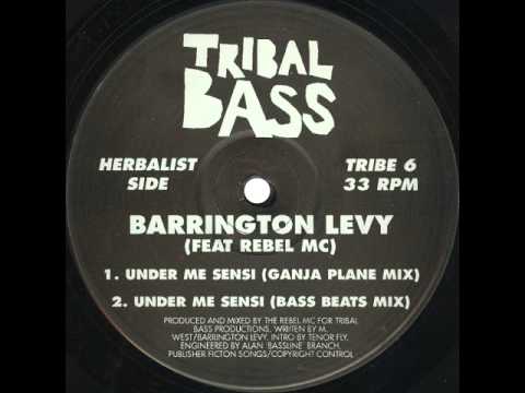 Barrington Levy Feat. Rebel MC - Under Me Sensi (Ganja Plane Mix)
