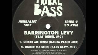 Barrington Levy Feat. Rebel MC - Under Me Sensi (Ganja Plane Mix)