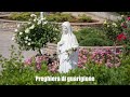 Medjugorje, preghiera di guarigione del corpo e dell'anima