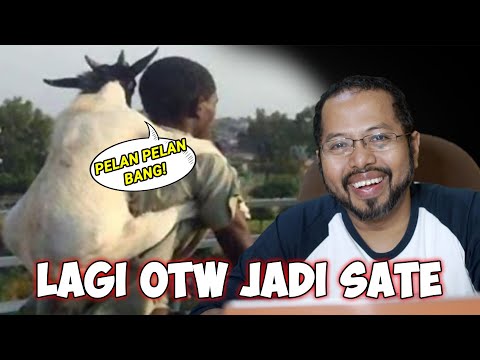 lagi-otw-jadi-sate-reaction-meme-idul-adha