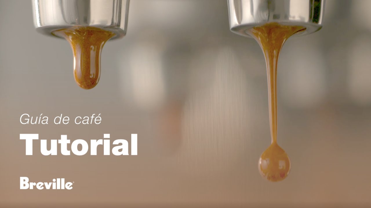 Tutorial de guía de café de Breville - Equilibrar la extracción