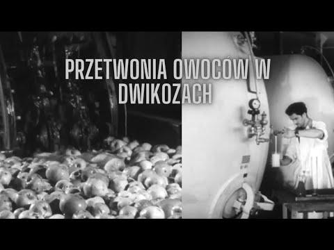 Przetwórnia owoców w Dwikozach 1950r i problem ze sprzedażą soków 1967r