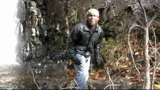 Curse of the young Torres