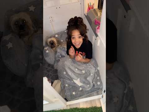 We built Nova a house #foryou #fyp #nova