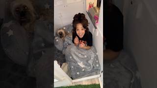 We built Nova a house #foryou #fyp #nova