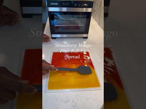 😮2 Ingredient Fruit Roll Up 😮