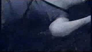 rebekka karijord "The collector"