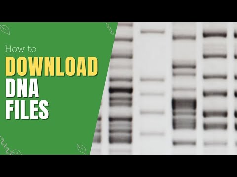 How to Download RAW DNA Files | Genetic Genealogy Explained Video