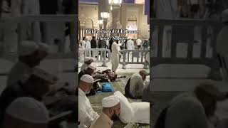 Download lagu After Dawn prayer in the courtyard of the Prophet's Mosque mp3 Download lagu After Dawn prayer in the courtyard of the Prophet's Mosque mp3