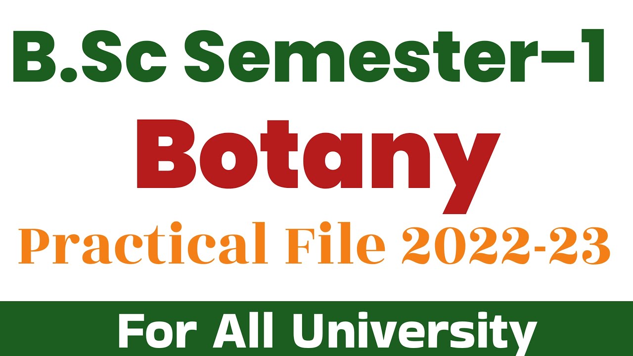 B.Sc semester- 1 Botany practical file 2022 | B.Sc Botany practical file | Botany practical file |