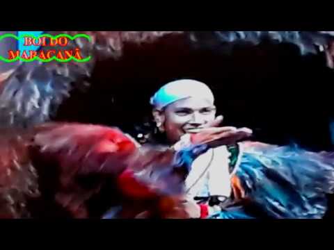 BOI DO MARACANÃ  -  2019  - CEPRAMA