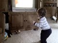 14mo Dance To Elmos World