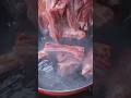 Sabías Que Sí Agregas Costillas En El Agua