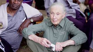 Jane Goodall: The Hope - this Earth Day on National Geographic