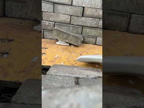 Smashing a bathroom piece with a brick