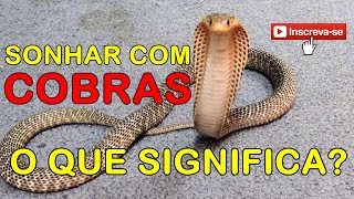 "SONHAR" com COBRAS.Qual o significado? Eu te responderei.Confira...