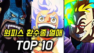 원피스 환수종 열매 TOP 10