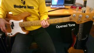 Video thumbnail for Maple VS Rosewood fretboard - Fender Precision '78 by Sebastiano Zanotto