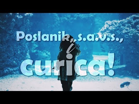 POSLANIK, S.A.V.S., I CURICA -  mr. Harmin Suljić ᴴᴰ┇N-UM