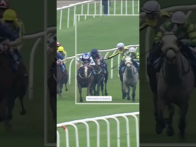 Thumbnail for Post ID: -Z8_BwG_rSU