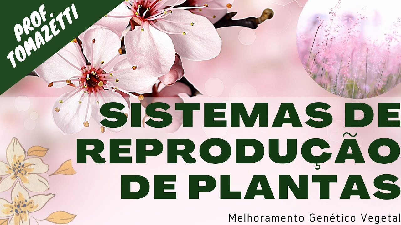 Sistemas de Reprodução de Plantas | Melhoramento Genético Vegetal