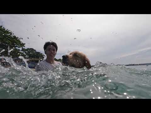 Arya, Skye & Kobe's beach getaway | Netanya Beach Resort