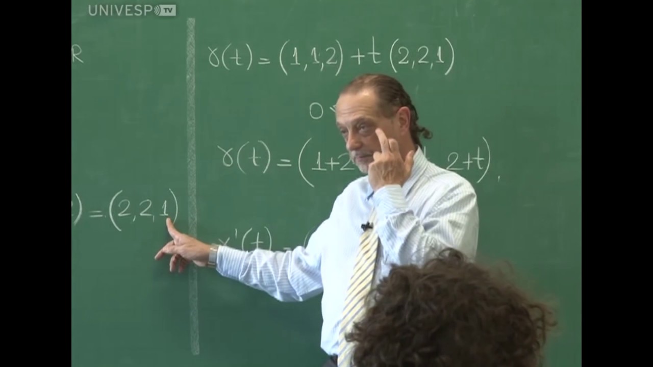 Integral de linha de campos vetoriais (Tópico 9, parte 4)