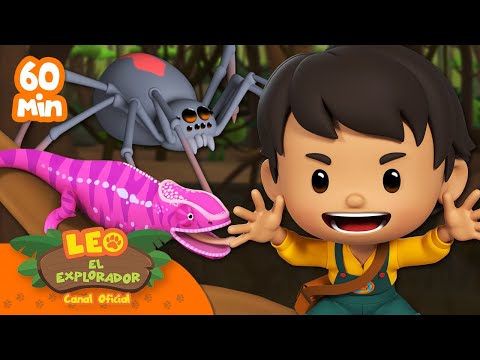 ¡1 HORA DE BICHOS ESPANTOSOS Y REPTILES EXÓTICOS! 🕷️ | Leo, El Explorador | Animación | #compilación