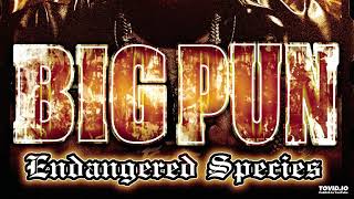 Big Pun - How We Roll &#39;98 Instrumental