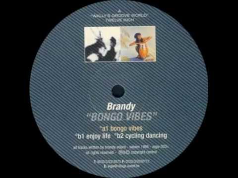 Brandy - Bongo Vibes