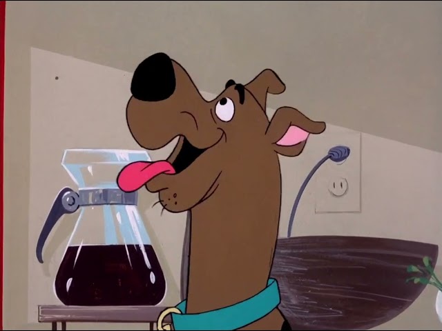 Vídeo relacionado con The Scooby-Doo Dynomutt Hour: The Complete Series [DVD]