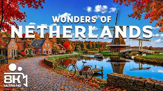 Wonders of Netherlands - A Journey Through Tulip Fields and Scenic Countryside | Travel Video 4K