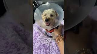 Please Help Us save Judge Please Help Us save Judge