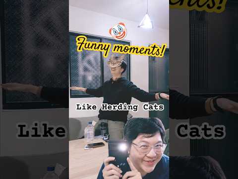 ? Like Herding Cats - Funny Moments ?