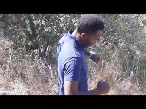 GINSOMAN RUDO RWENHEMA OFFICIAL VIDEO