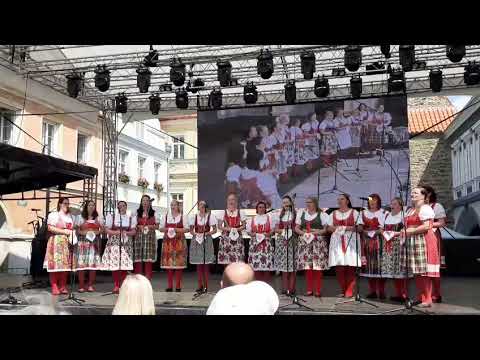 Chodské slavnosti 10.8.2025 Canzonetta Domažlice - Bulačina