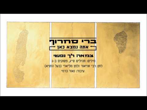 Video thumbnail for Tzam’ah Lecha Nafshi - צמאה לך נפשי