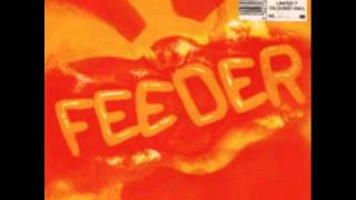 Feeder -Pictures of Pain (Two Colours EP)