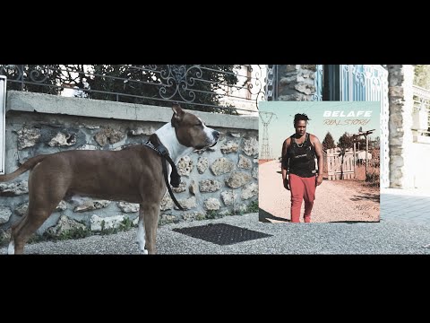 BelafeMDB - Real Story (prod Chris Rich)