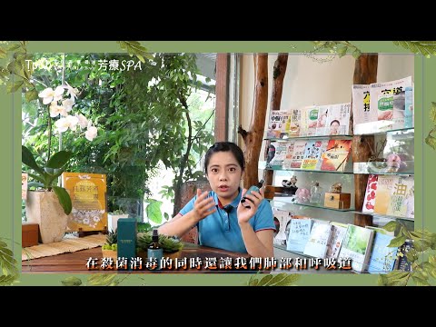 Tp＆b 天然有機精油芳療SPA 【產品介紹】 EP1｜ 高雄spa 精油按摩 芳療 高雄spa推薦