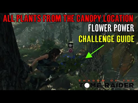 Shadow of the Tomb Raider 🏹 Flower Picker 🏹 (Peruvian Jungle Challenge Guide) Video