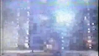 AjaKongsTheme-JungleEmperor