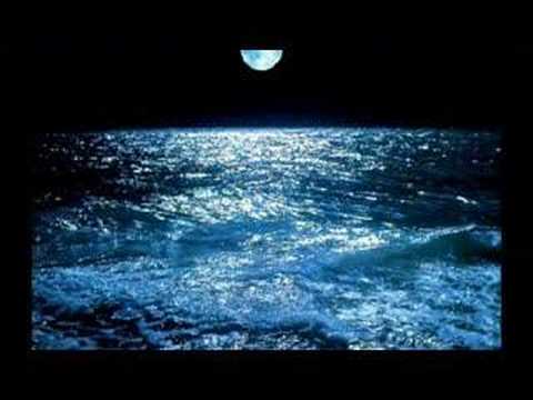 GuiSFC’s Video 42416787554 -ZDAnAXM05o