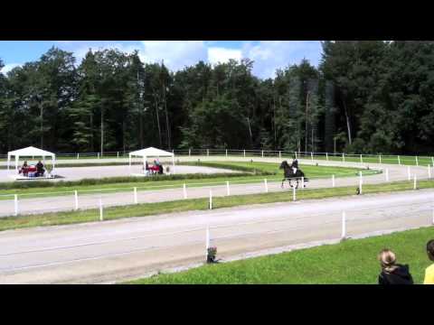 WM-Sichtung St. Radegund - T2-VE - isibless