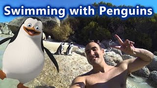 preview picture of video 'GoPro: Boulders Beach with Penguins in Cape Town'