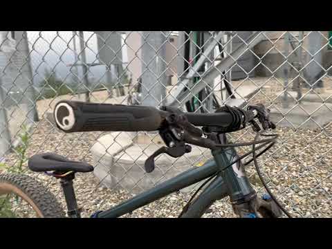 Esker Japhy custom SS build with bling touches