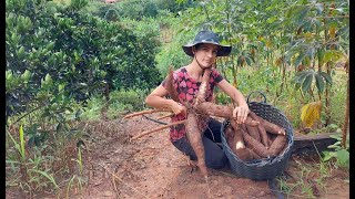 Brazilian Cleide harvests cassava and makes severa