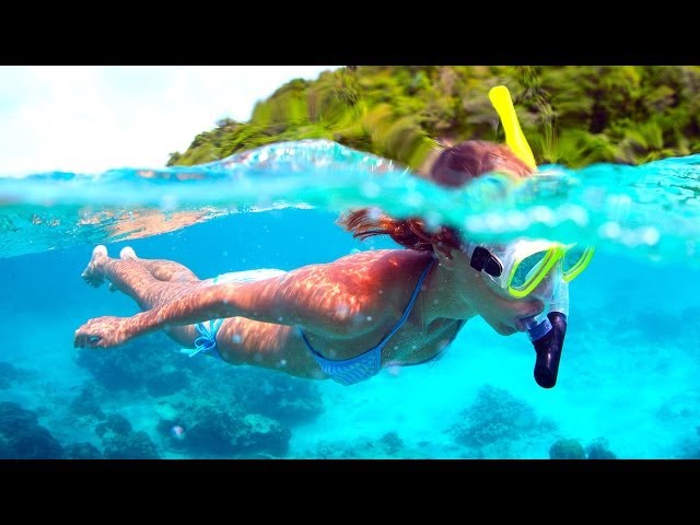 Best Oahu Snorkeling