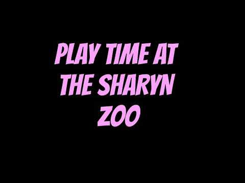 THE CATS LOVE TO PLAY & TAKE TURNS 💖 SAMMY'S NOT IMPRESSED 😂